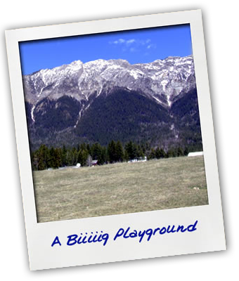 Rocky Mountain Pet Resort