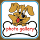 Photo Gallery
